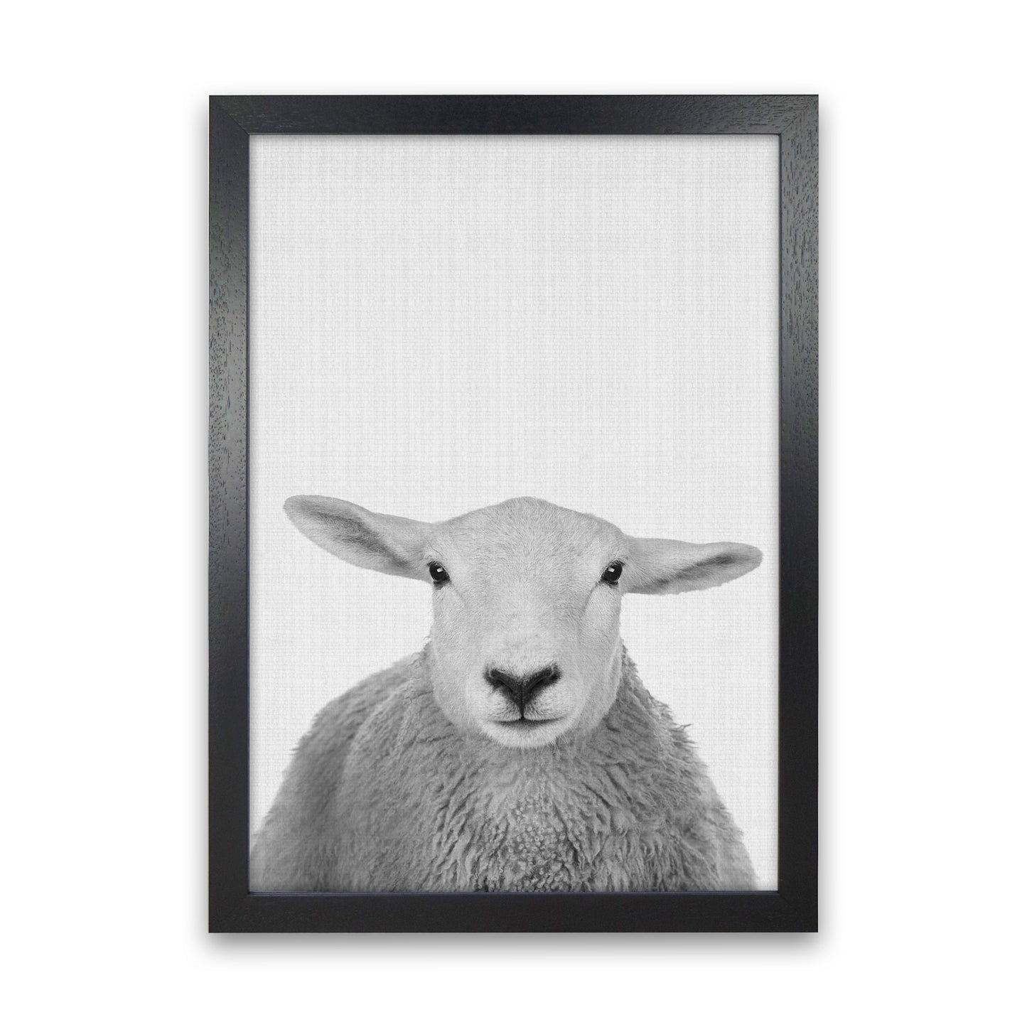 Trust This Wise Sheep Art Print by Jason Stanley Black Grain