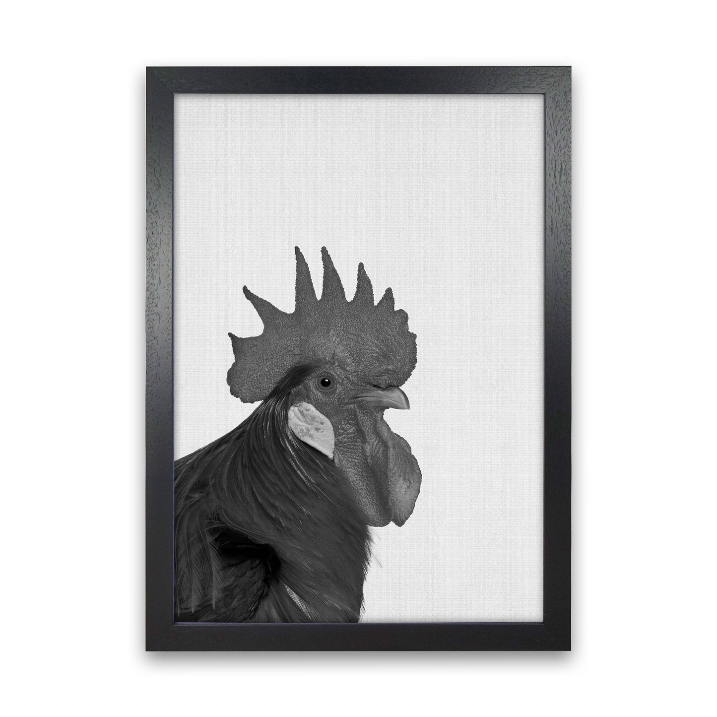 Cock A Doodle Doo Art Print by Jason Stanley Black Grain