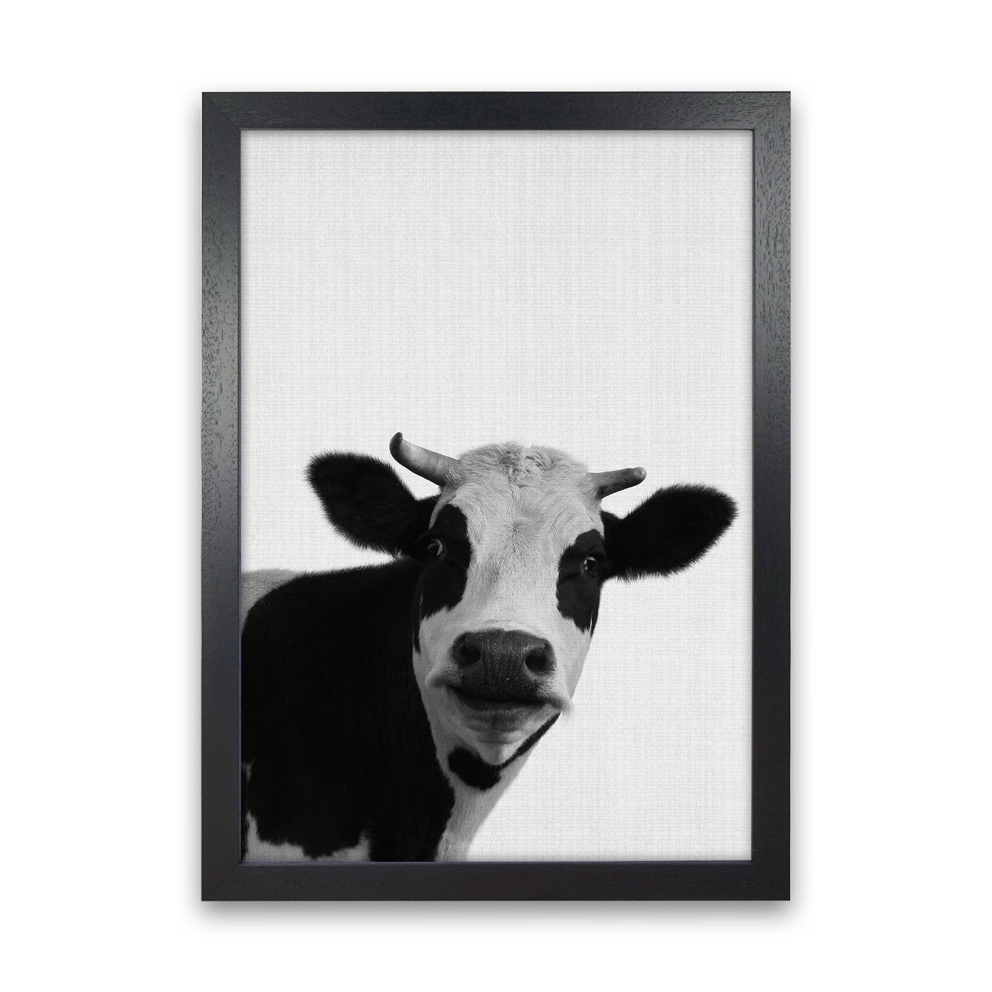 Holy Cow Art Print by Jason Stanley Black Grain