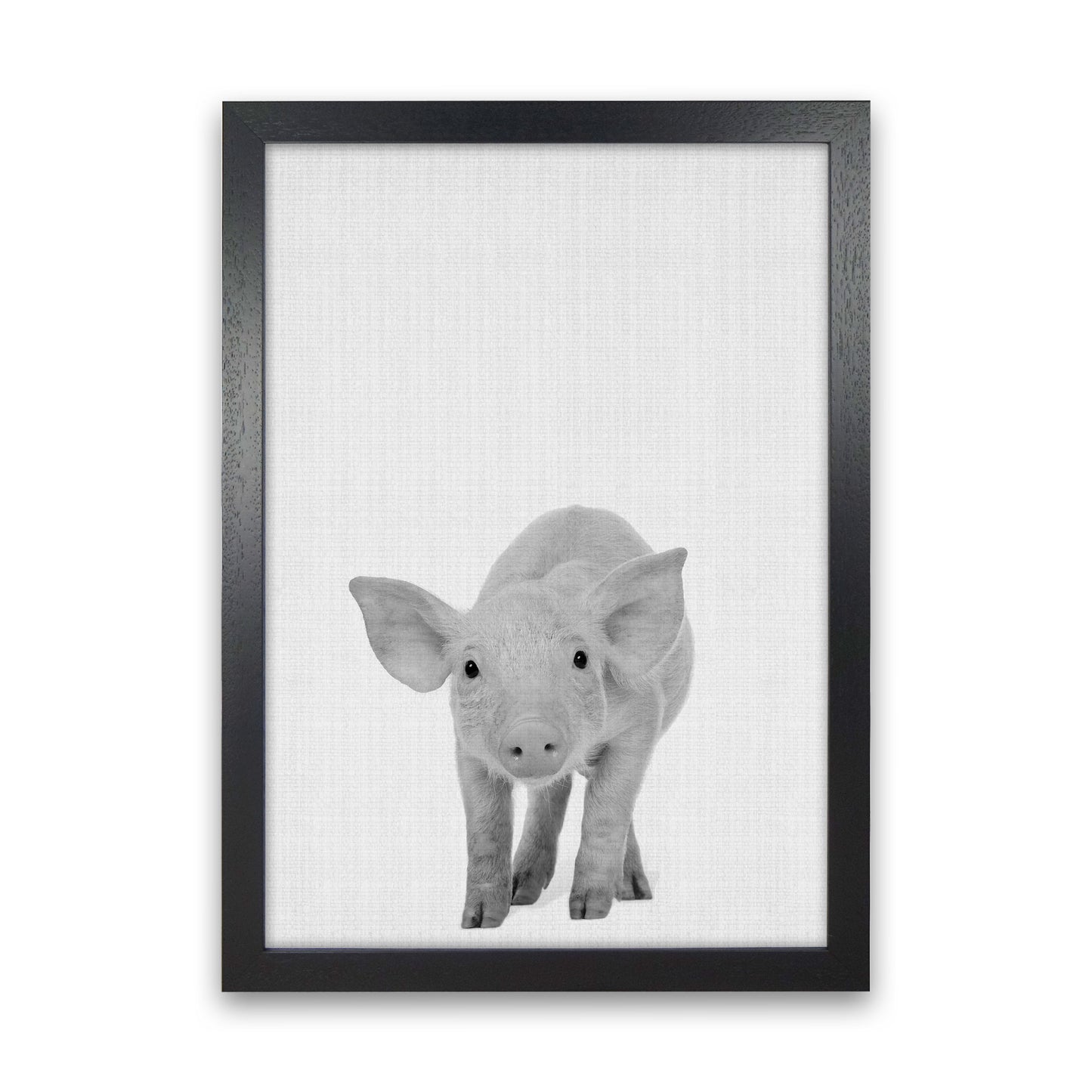 The Cutest Pig Art Print by Jason Stanley Black Grain