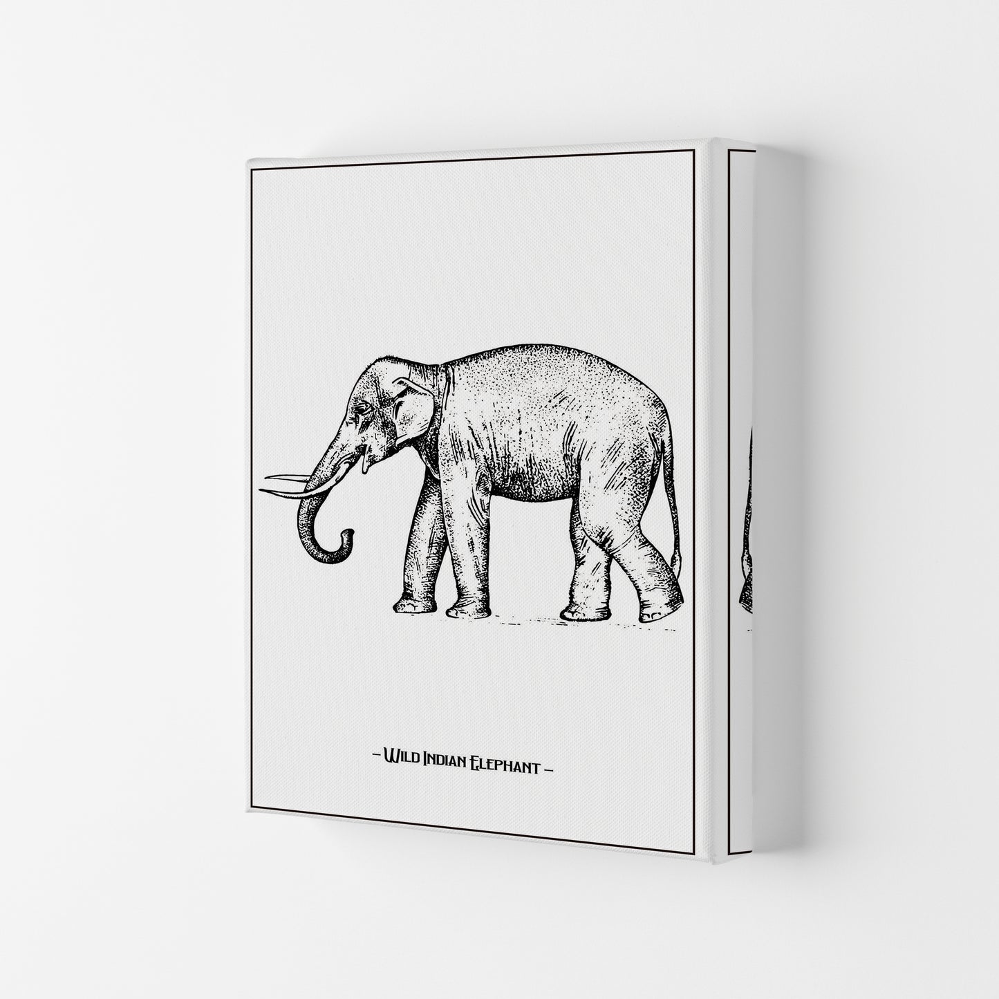 Wild Indian Elephant Art Print by Jason Stanley Canvas