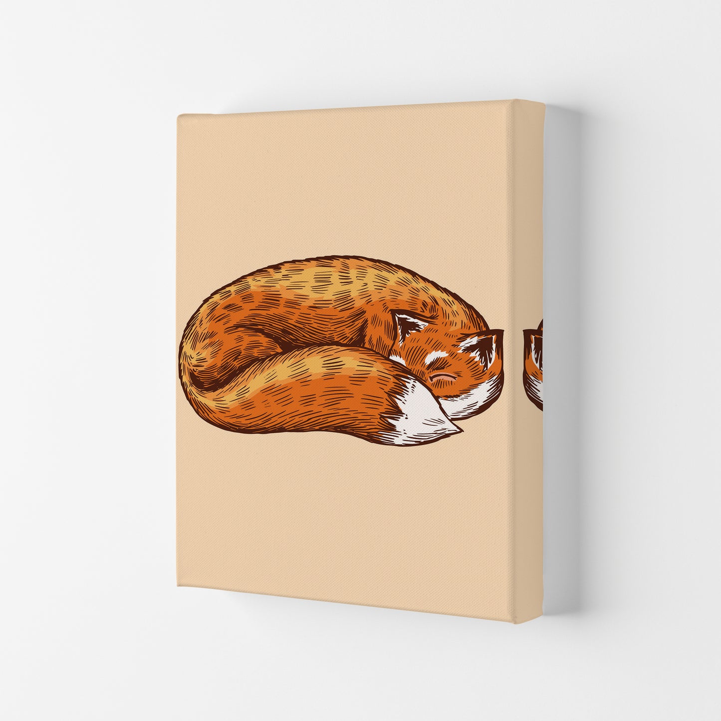 The Sleeping Fox Art Print by Jason Stanley Canvas