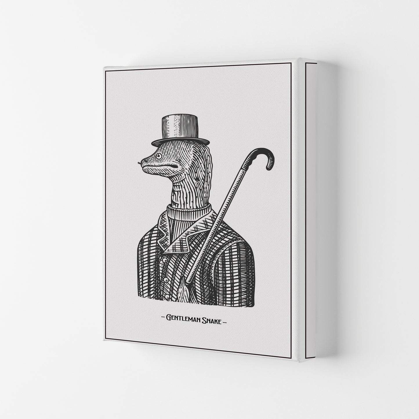 Gentlemen Snake Art Print by Jason Stanley Canvas