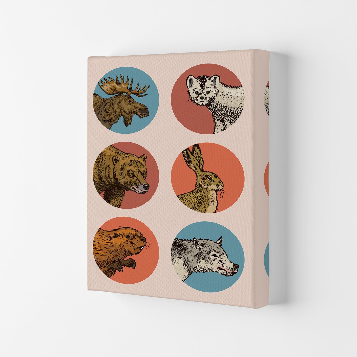 Animal Circles Art Print by Jason Stanley Canvas