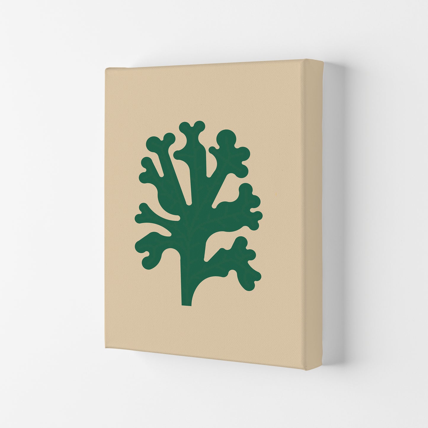 Cutout Seaweed Art Print by Jason Stanley Canvas