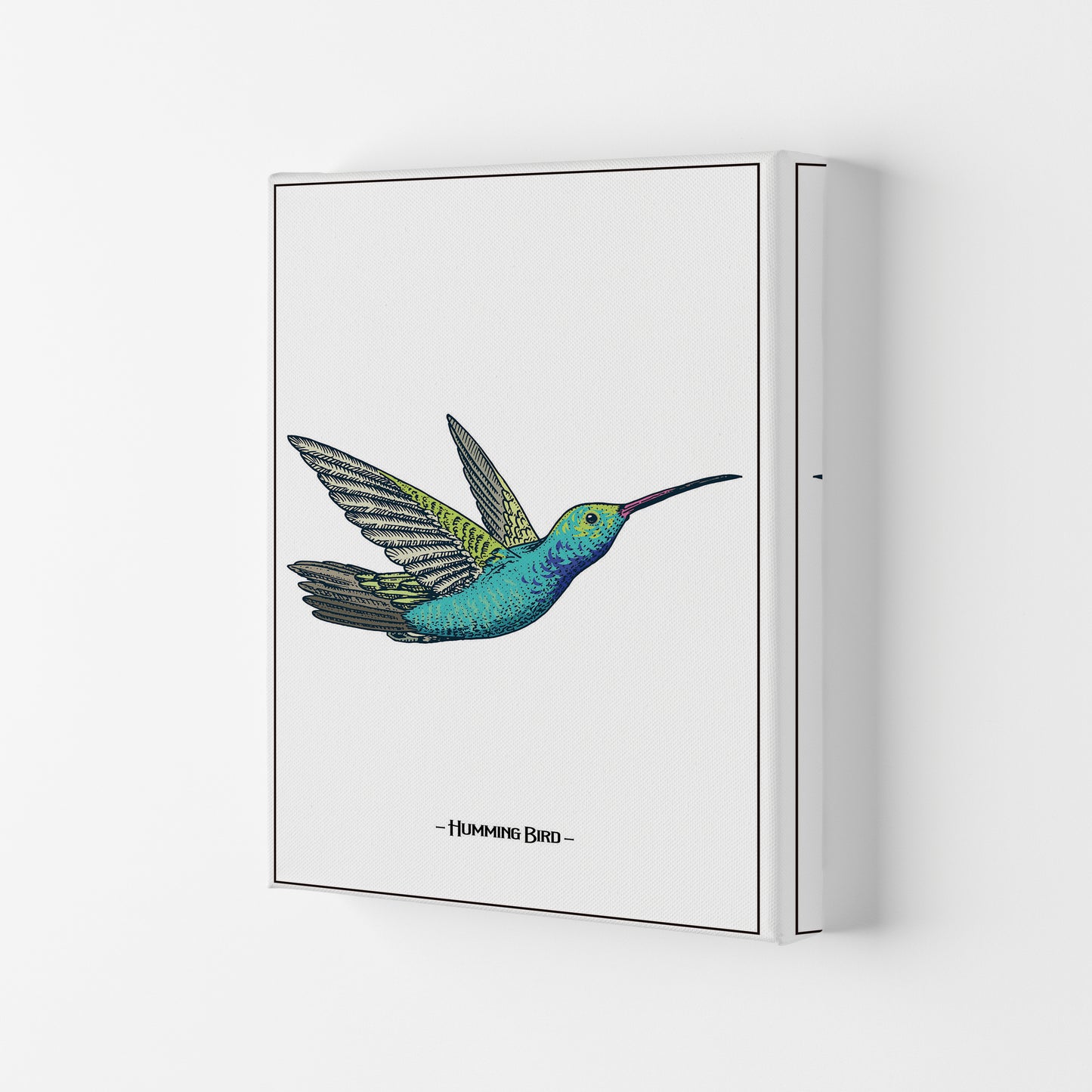 Humming Bird Art Print by Jason Stanley Canvas