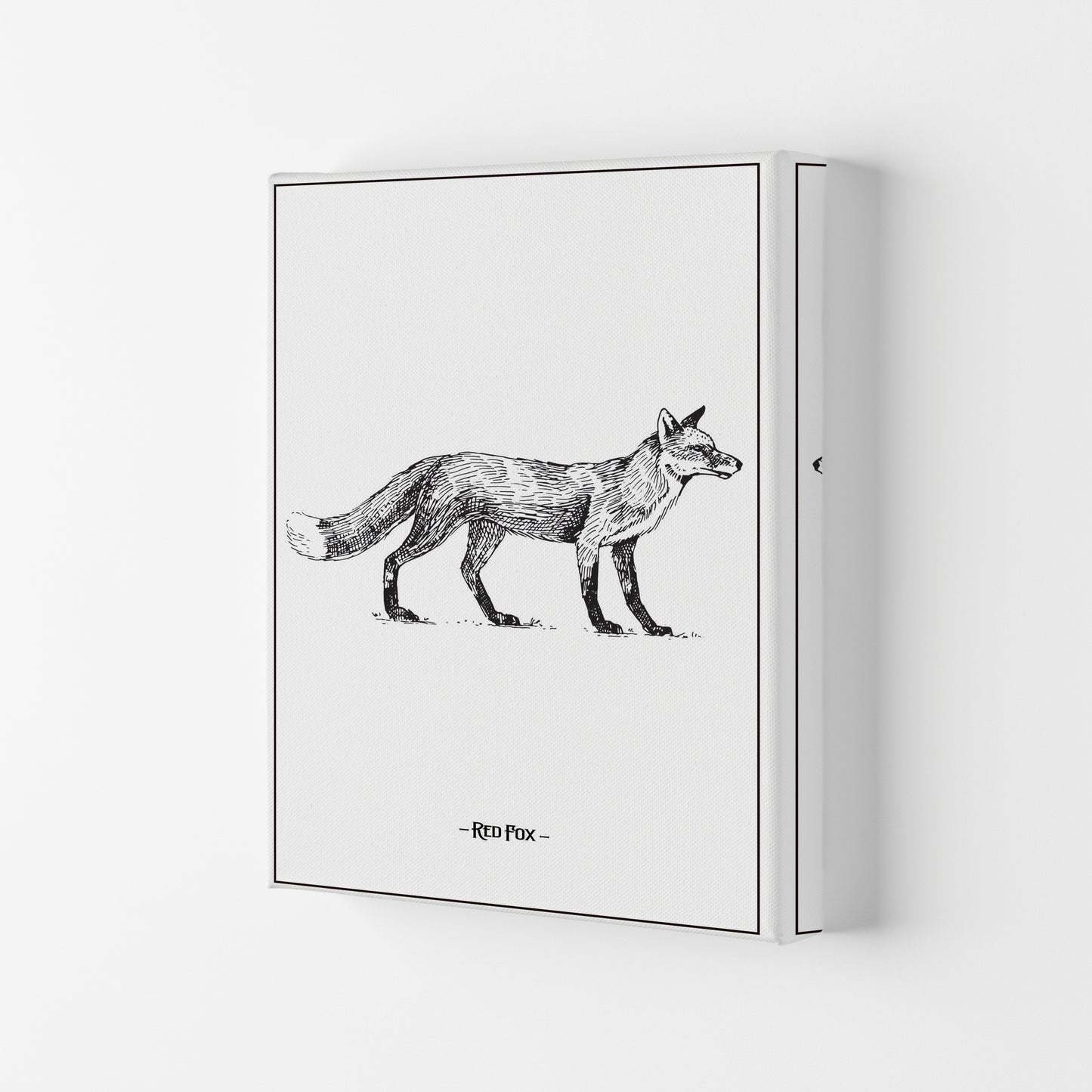 Red Fox Art Print by Jason Stanley Canvas