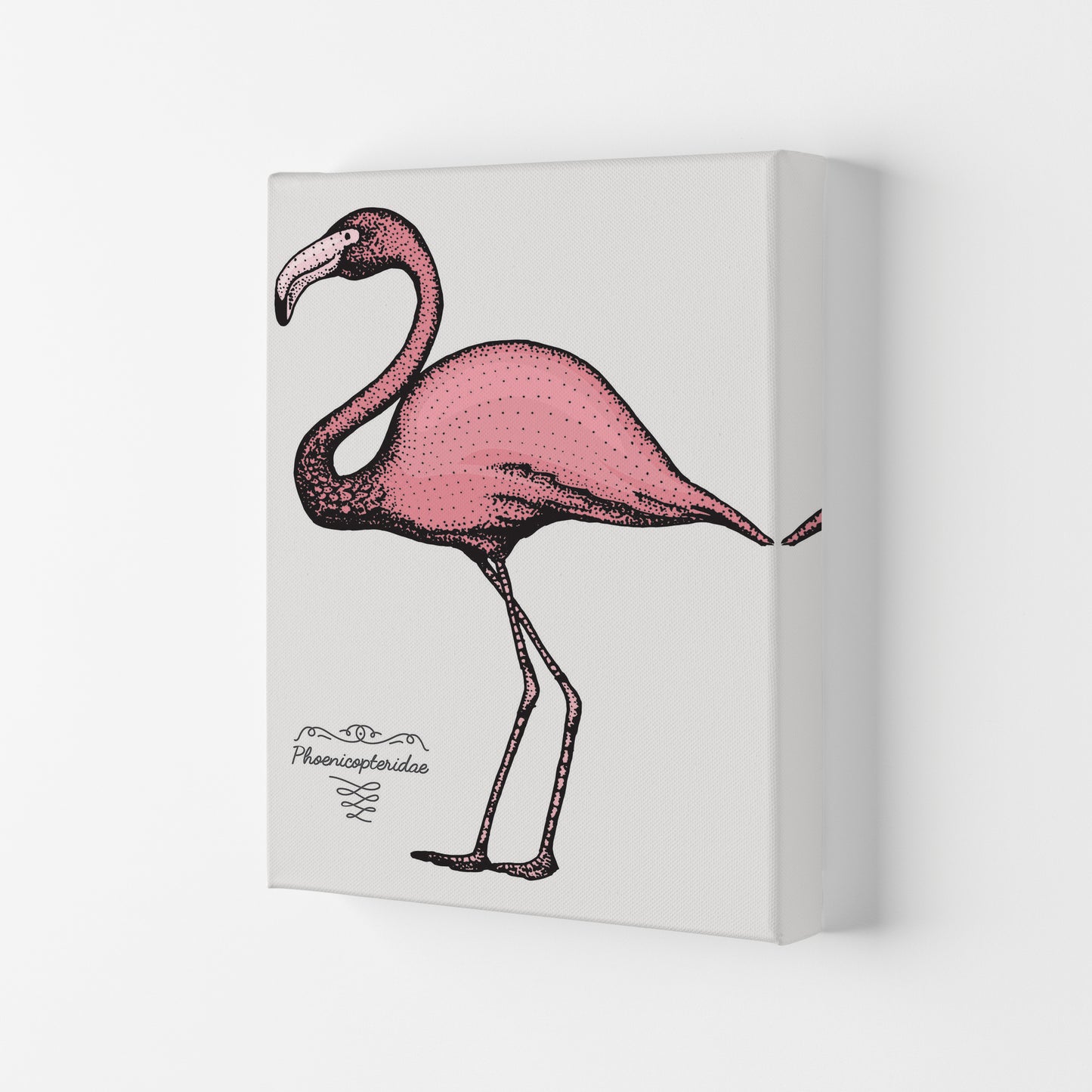 Flamingo Art Print by Jason Stanley Canvas