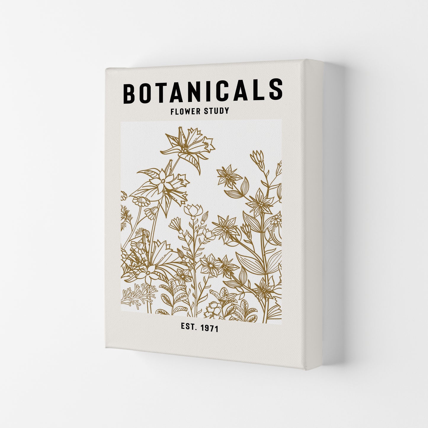 Botanicals Flower Study II Art Print by Jason Stanley Canvas