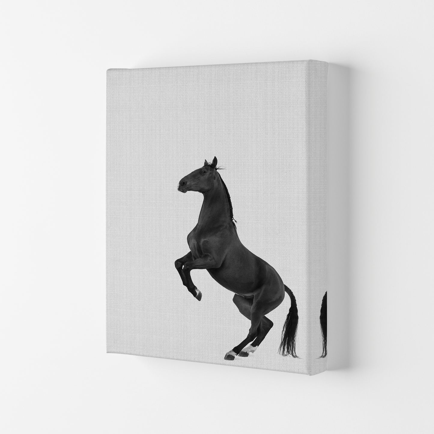 The Dark Horse Rides At Night #2 Art Print by Jason Stanley Canvas