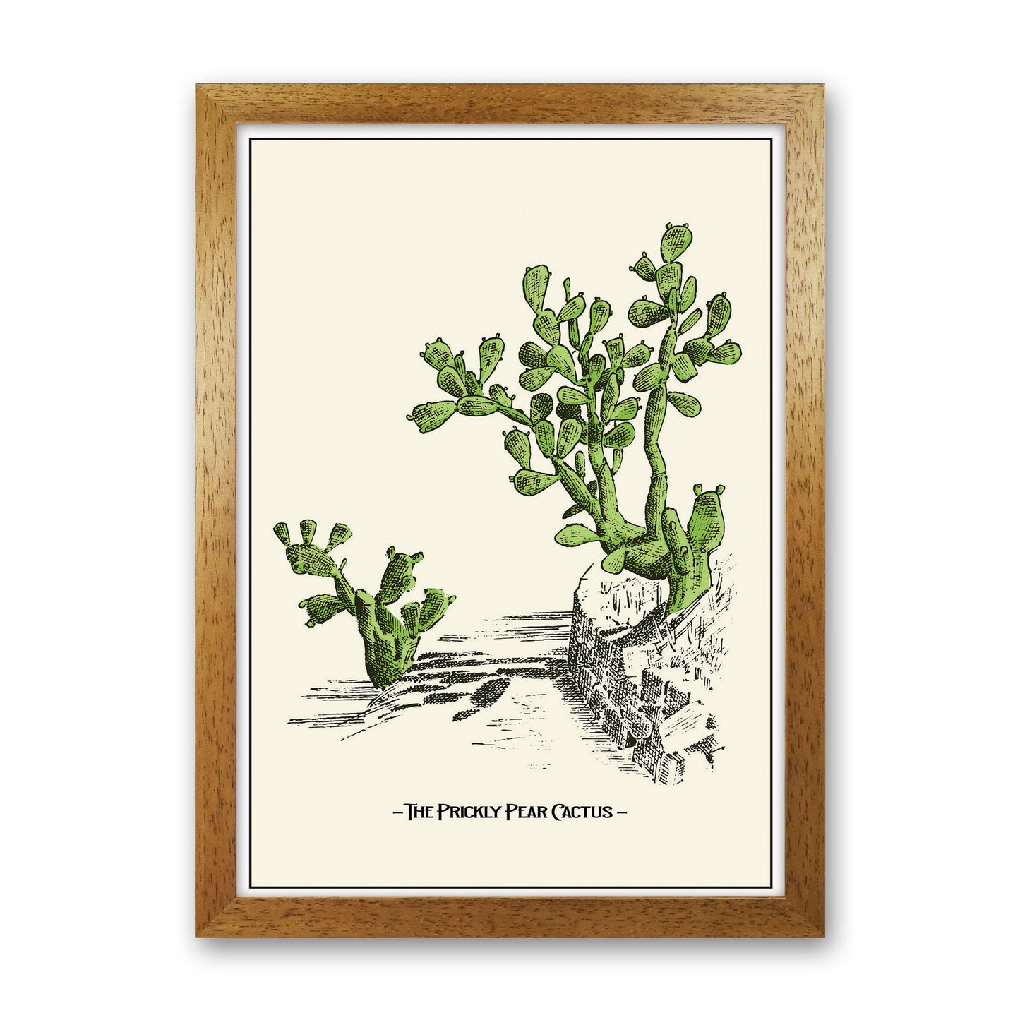 The Prickly Pear Cactus Art Print by Jason Stanley Oak Grain
