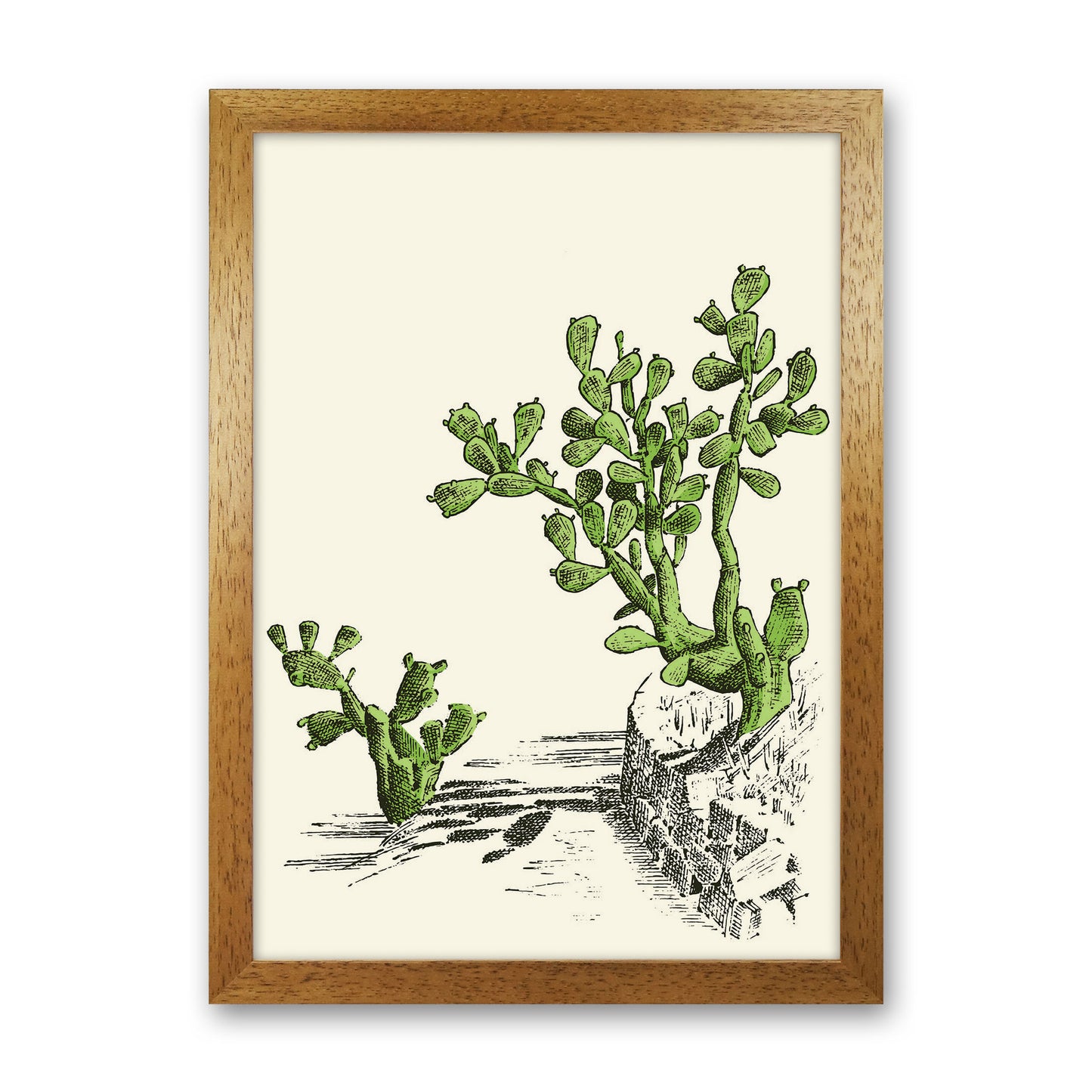 Prickly Pear Cactus Art Print by Jason Stanley Oak Grain