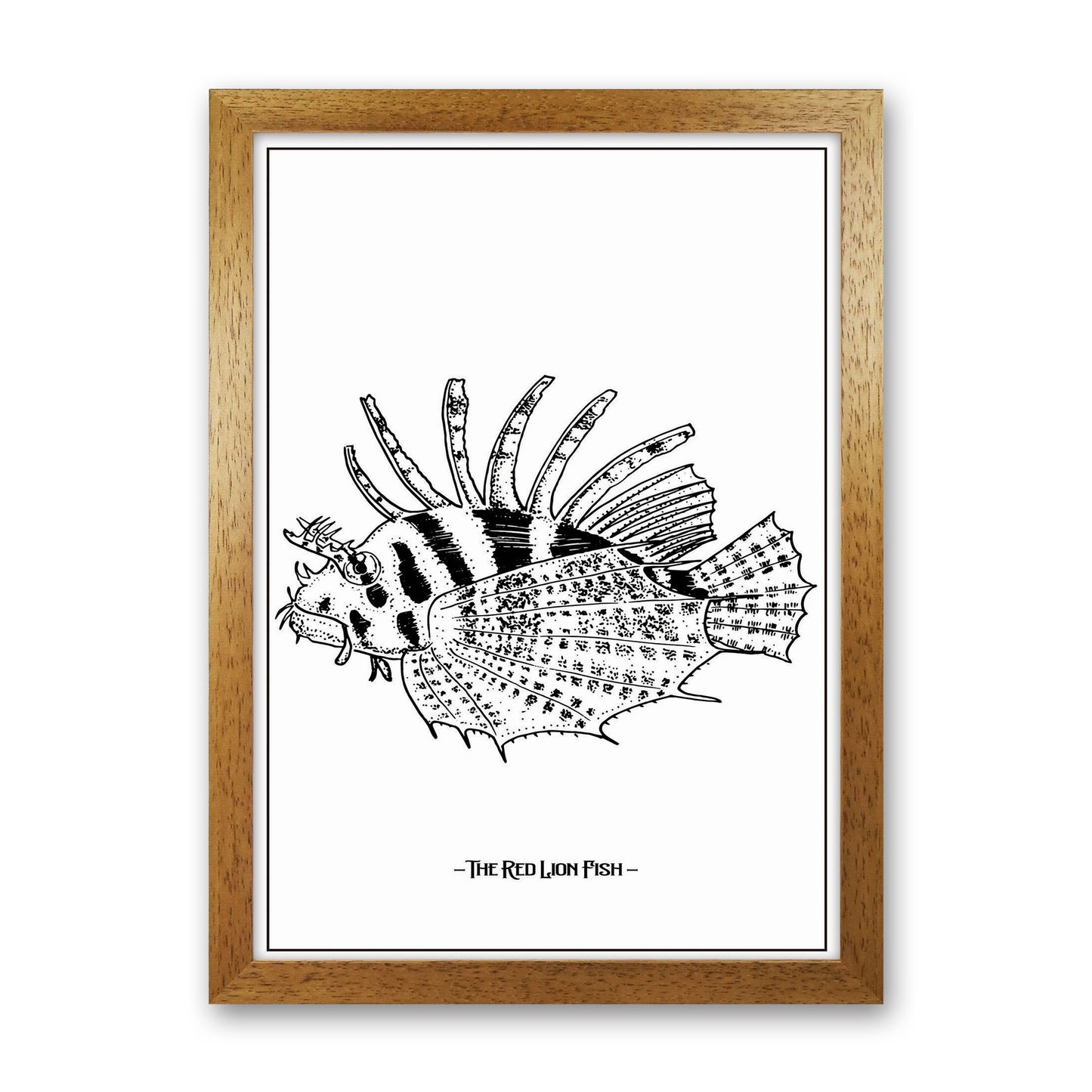 The Red Lion Fish Art Print by Jason Stanley Oak Grain
