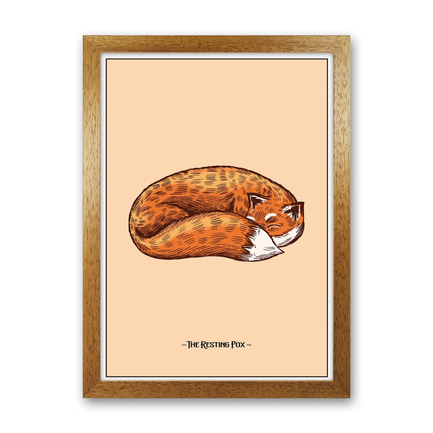 The Resting Fox Art Print by Jason Stanley Oak Grain