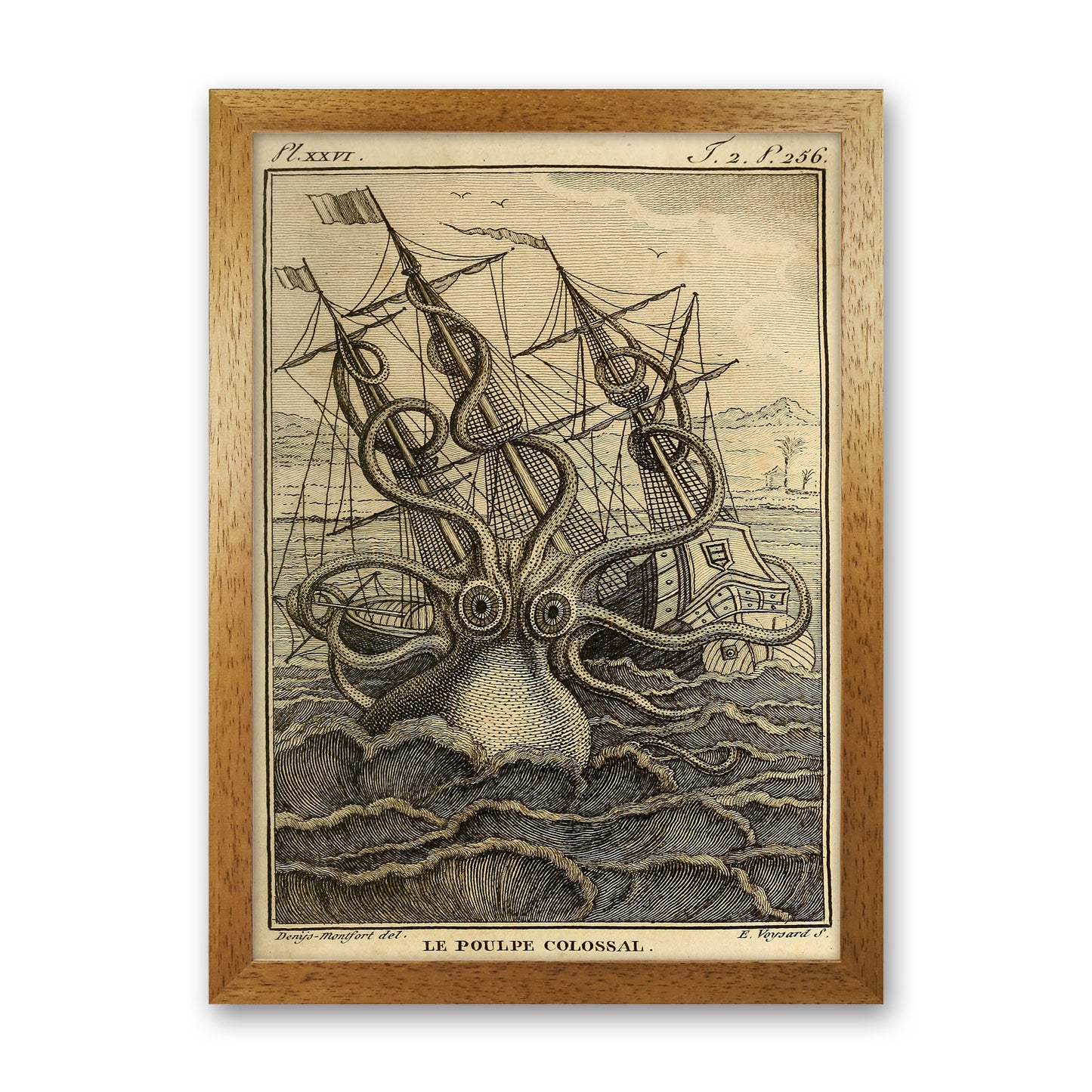 The Great Collossal Octopus Art Print by Jason Stanley Oak Grain