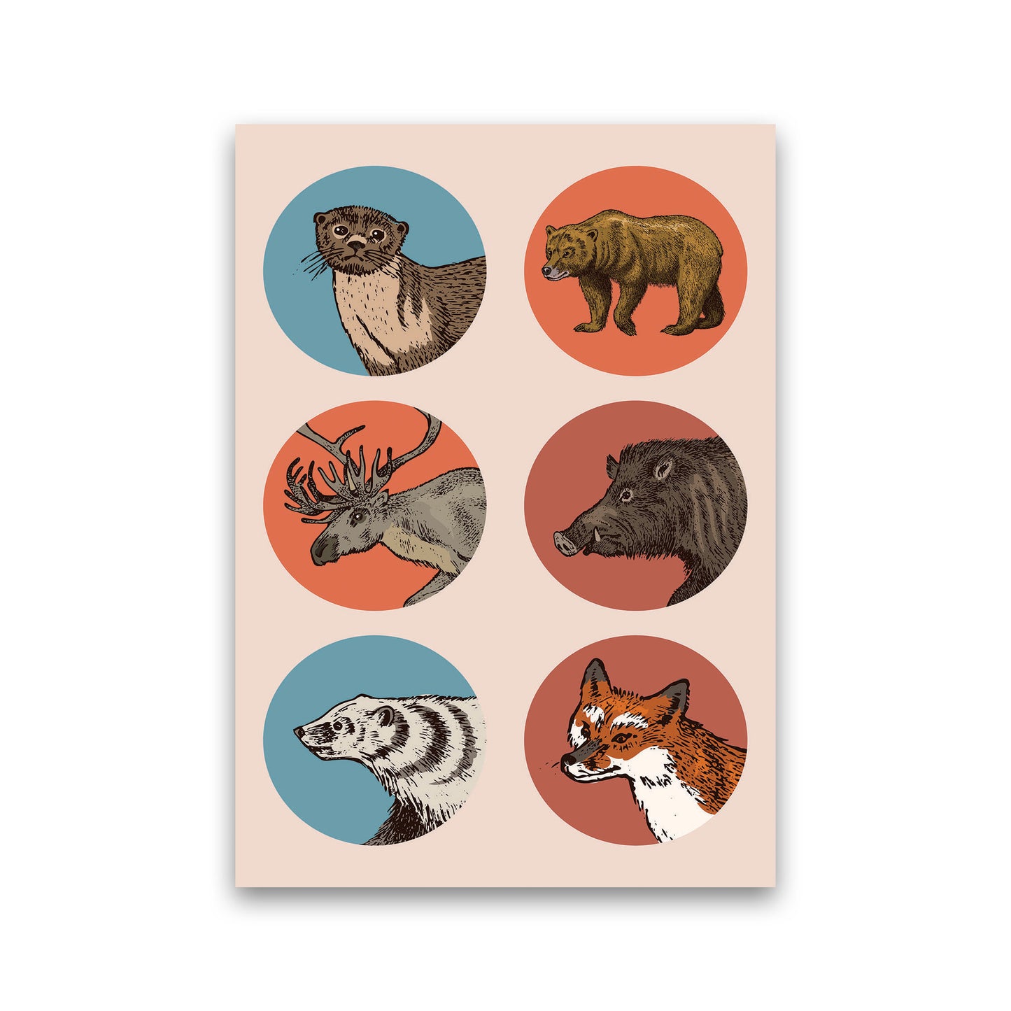 Animal Circles II Art Print by Jason Stanley Print Only