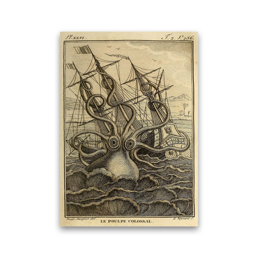 The Great Collossal Octopus Art Print by Jason Stanley Print Only