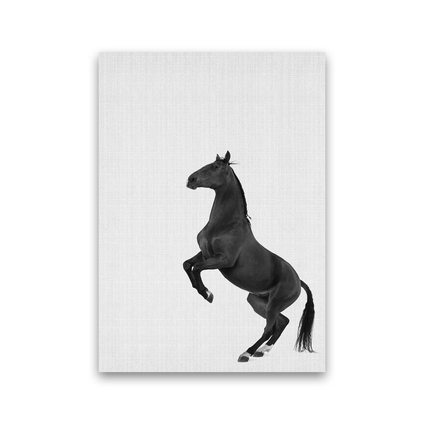The Dark Horse Rides At Night #2 Art Print by Jason Stanley Print Only
