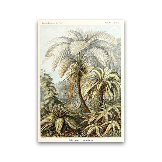 Vintage Jungle Illustration Art Print by Jason Stanley Print Only