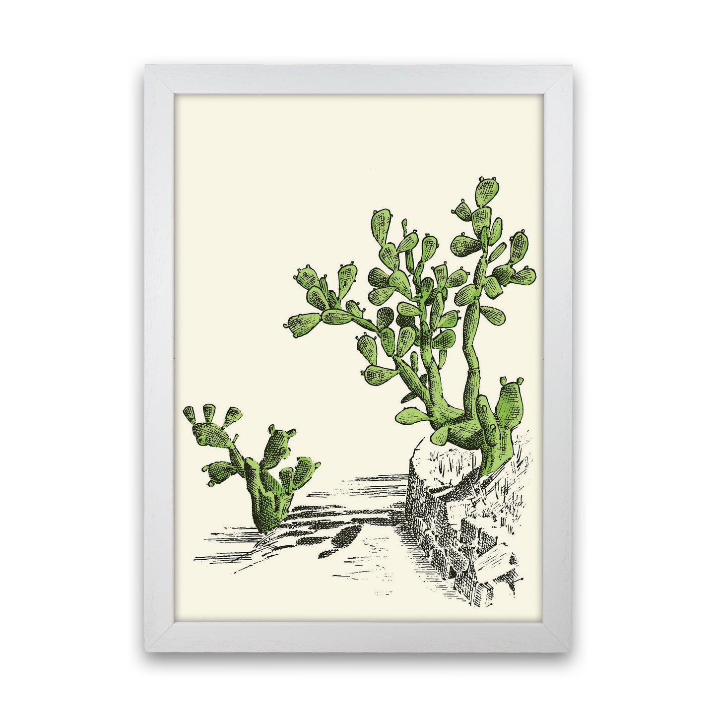 Prickly Pear Cactus Art Print by Jason Stanley White Grain