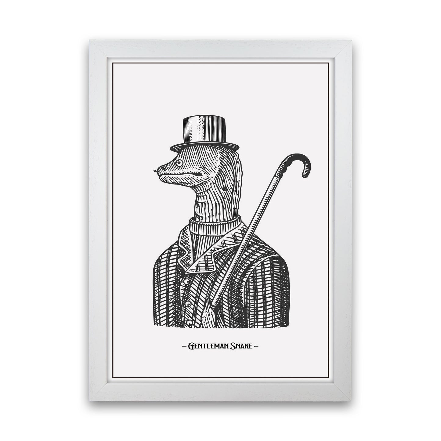 Gentlemen Snake Art Print by Jason Stanley White Grain