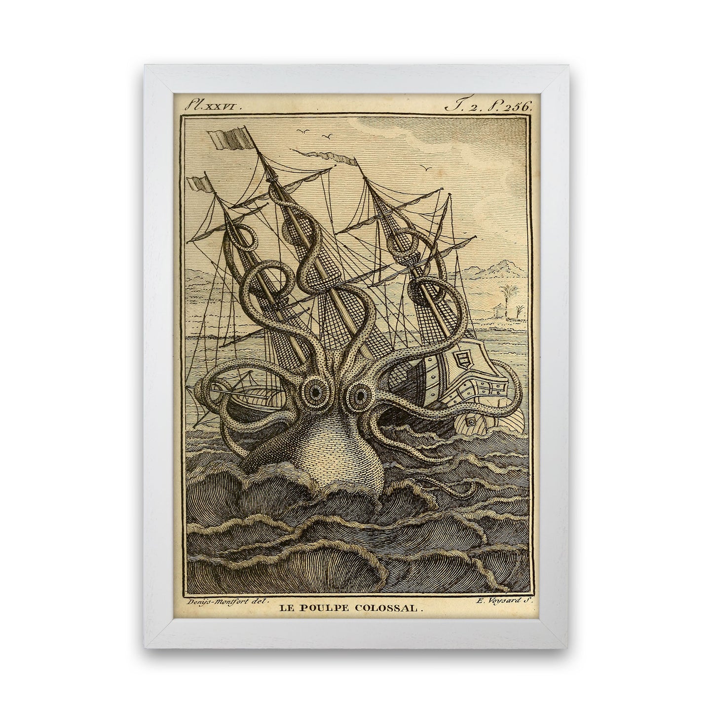 The Great Collossal Octopus Art Print by Jason Stanley White Grain