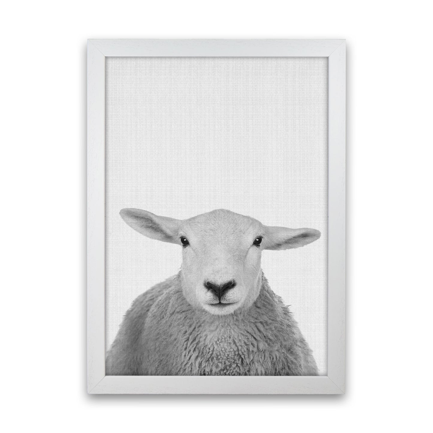 Trust This Wise Sheep Art Print by Jason Stanley White Grain