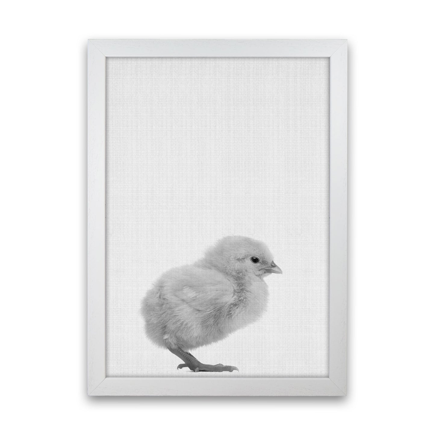 Just Me And My Chick Art Print by Jason Stanley White Grain