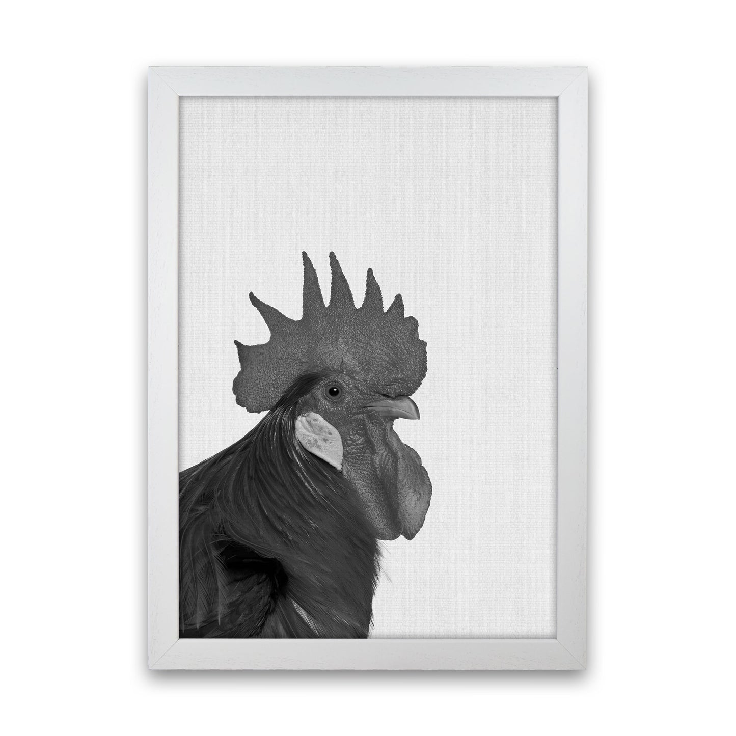 Cock A Doodle Doo Art Print by Jason Stanley White Grain