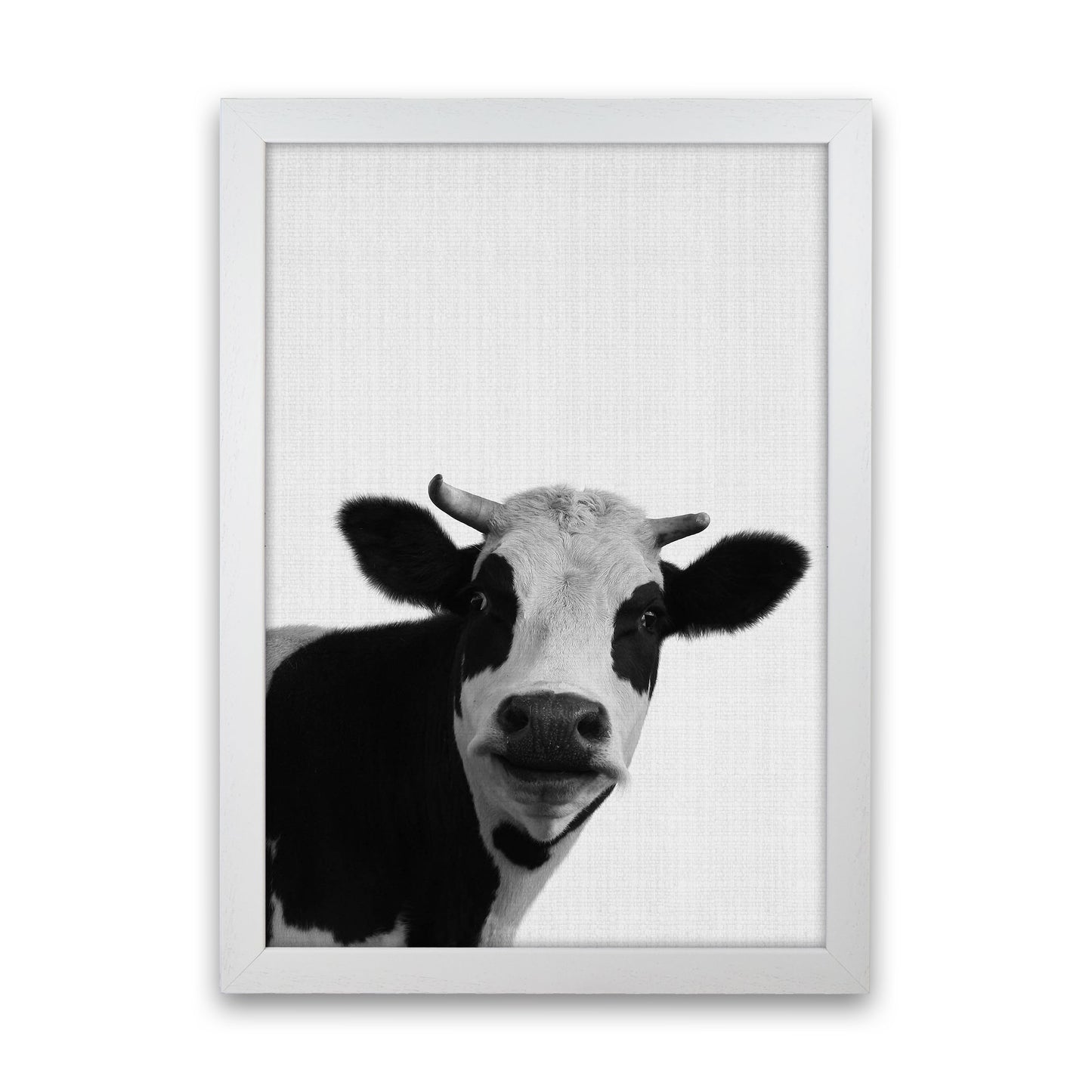 Holy Cow Art Print by Jason Stanley White Grain