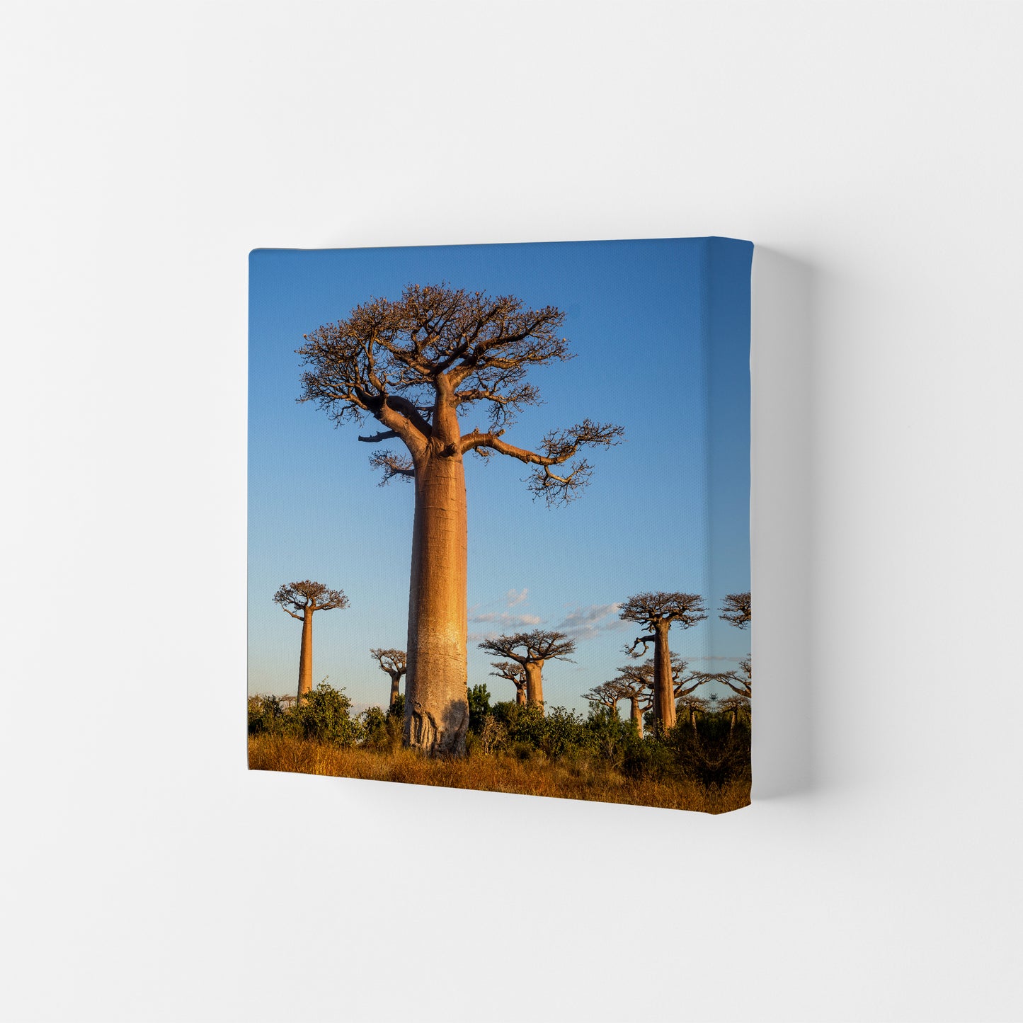 Giants Art Print by Karsten Wrobel Canvas