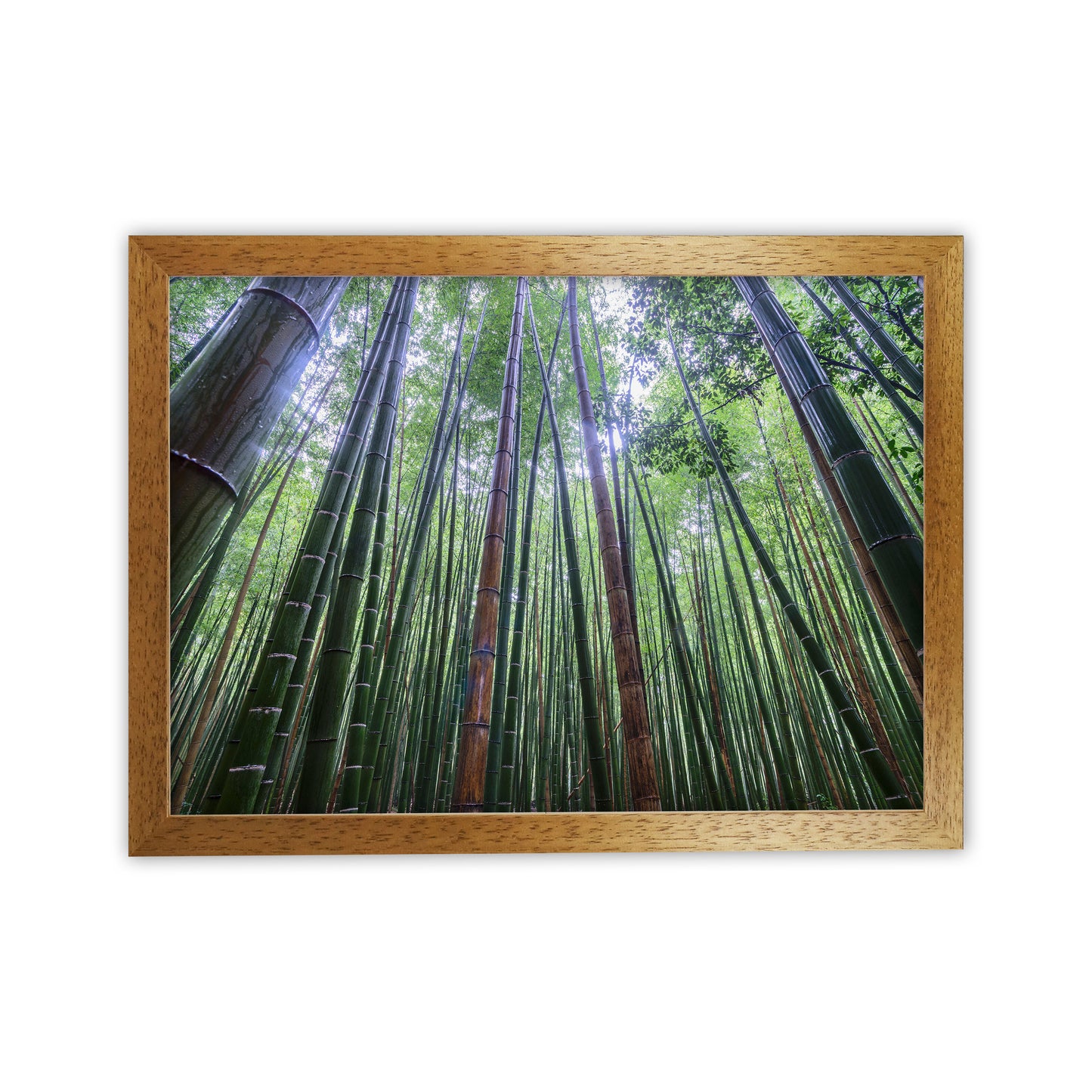 Tall Art Print by Karsten Wrobel Oak Grain