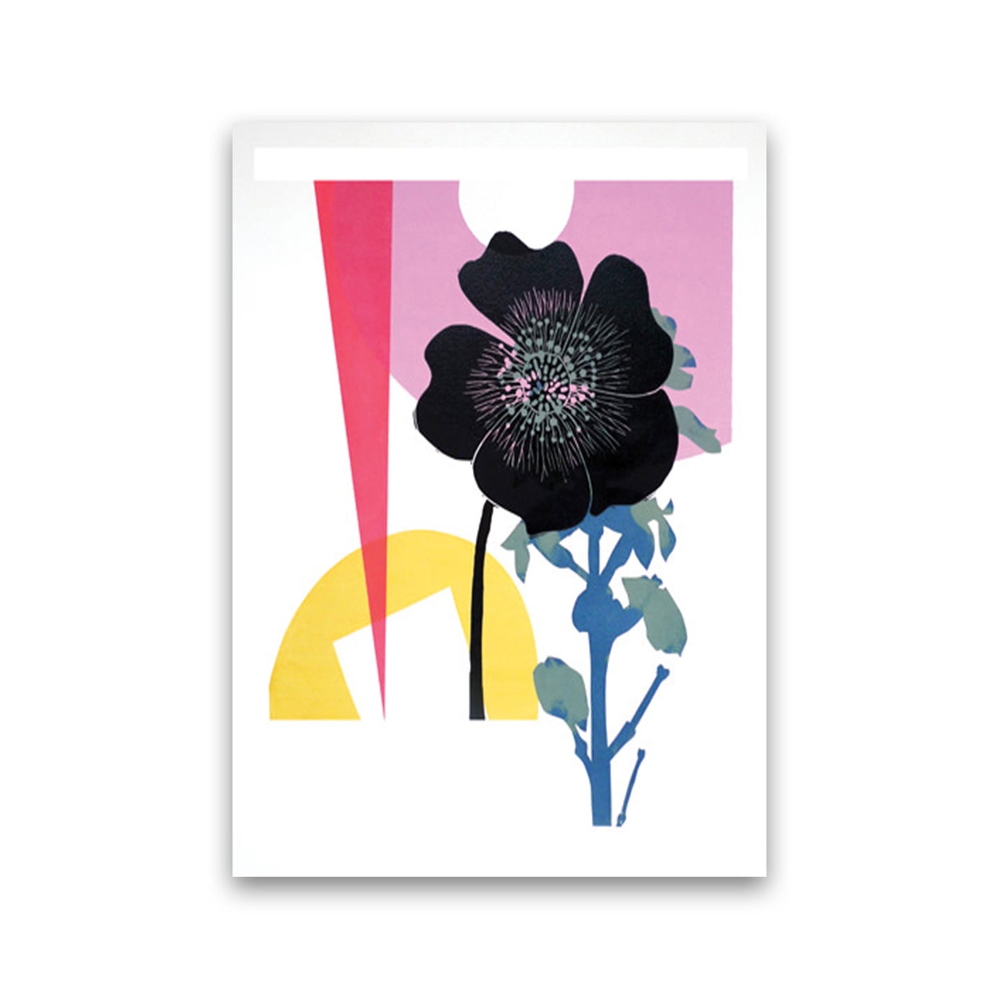 Rananculus Acris Art Print by Kate Heiss Print Only