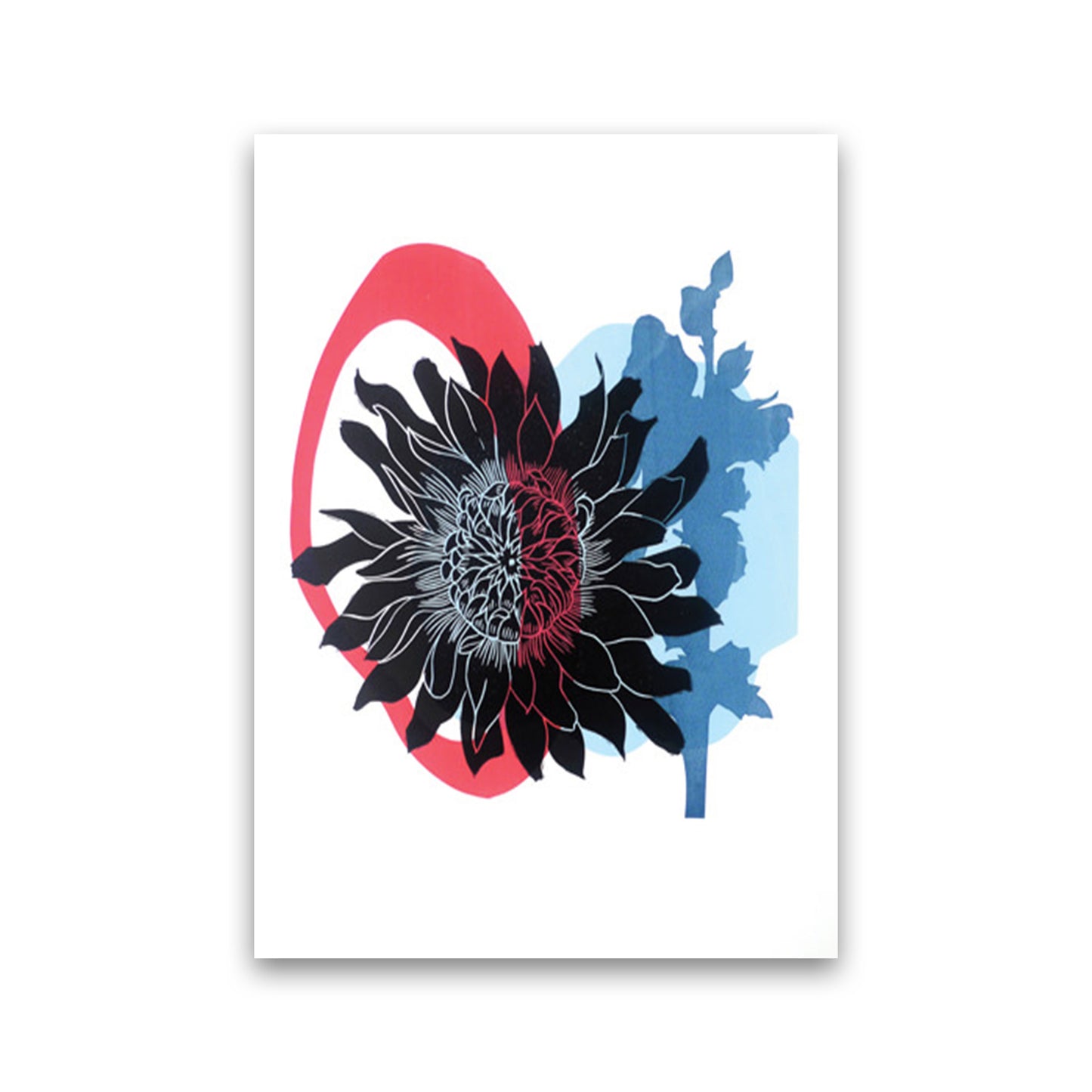 Dahlia PLpostcard Art Print by Kate Heiss Print Only
