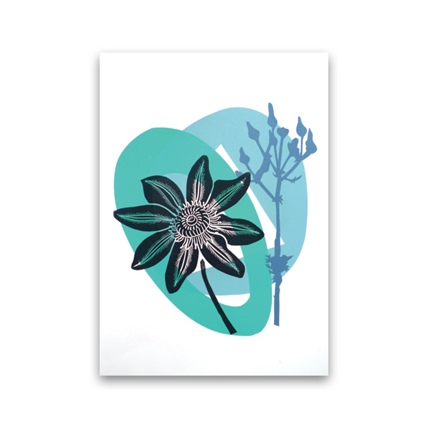 Clematis & Ragwort postcard Art Print by Kate Heiss Print Only