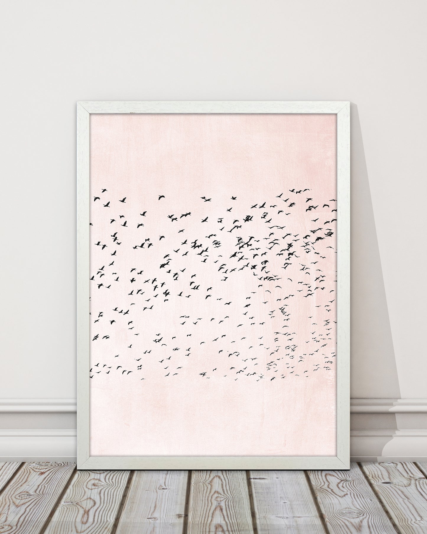 500 Seagulls