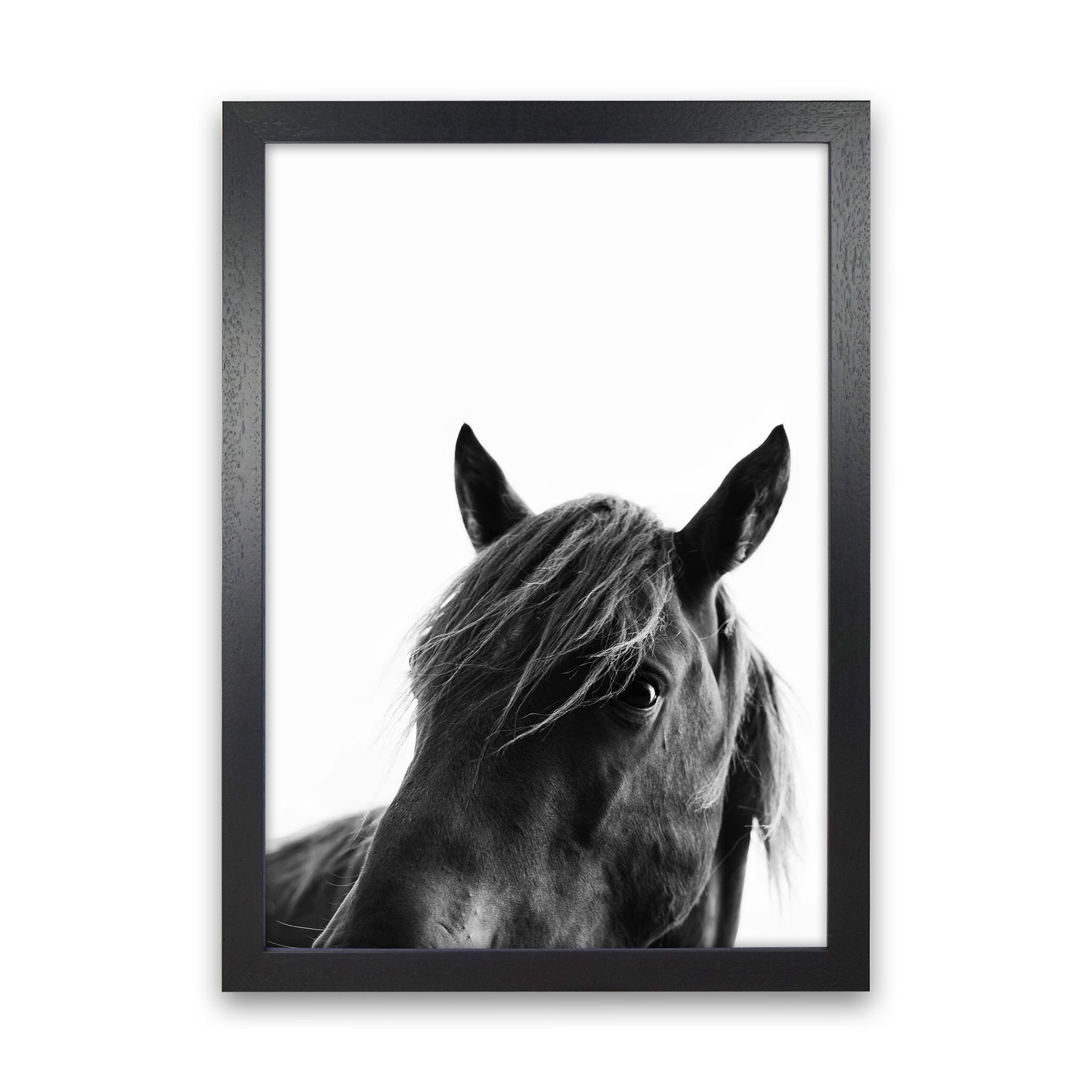 Black Beauty Photography Art Print by Kubistika Black Grain