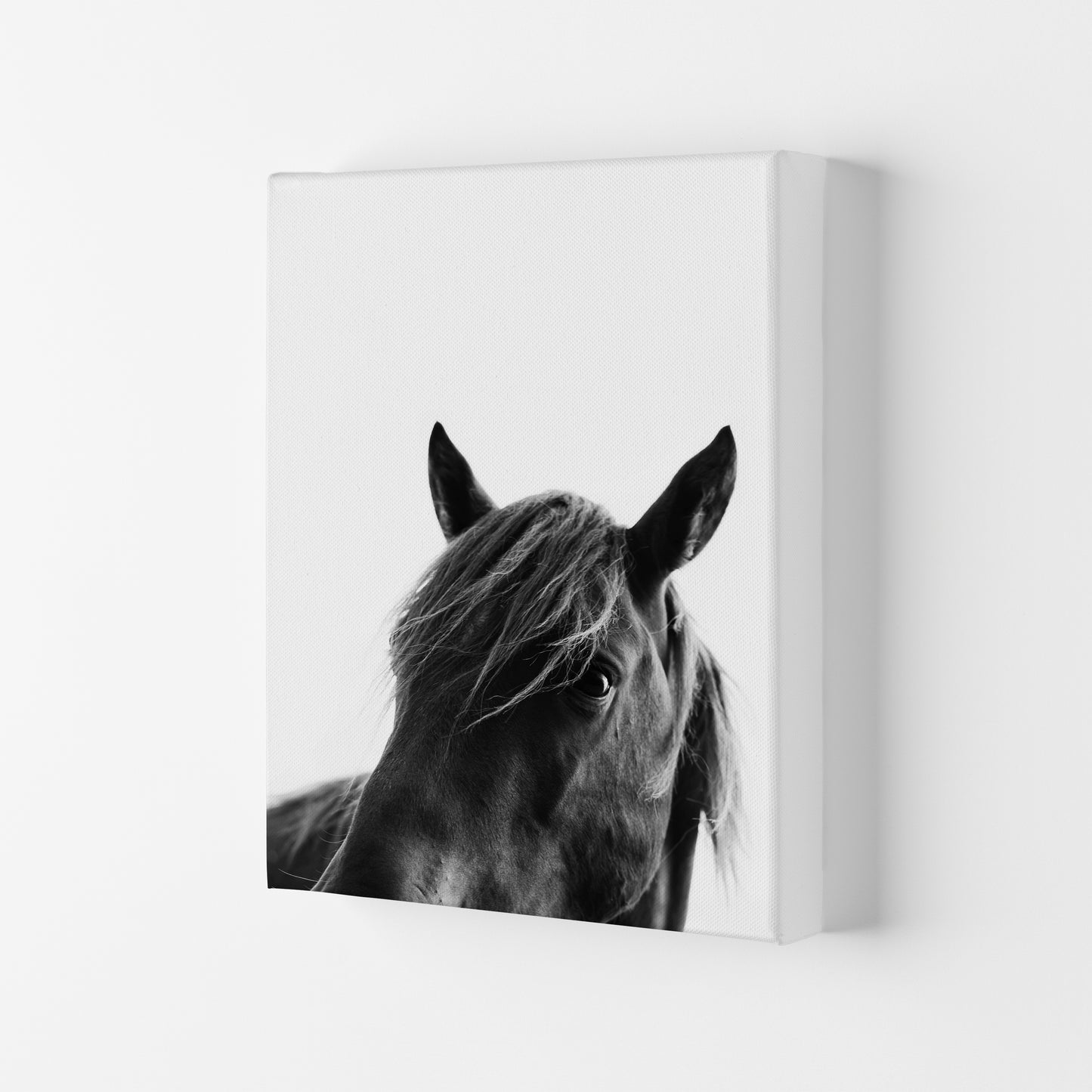 Black Beauty Photography Art Print by Kubistika Canvas