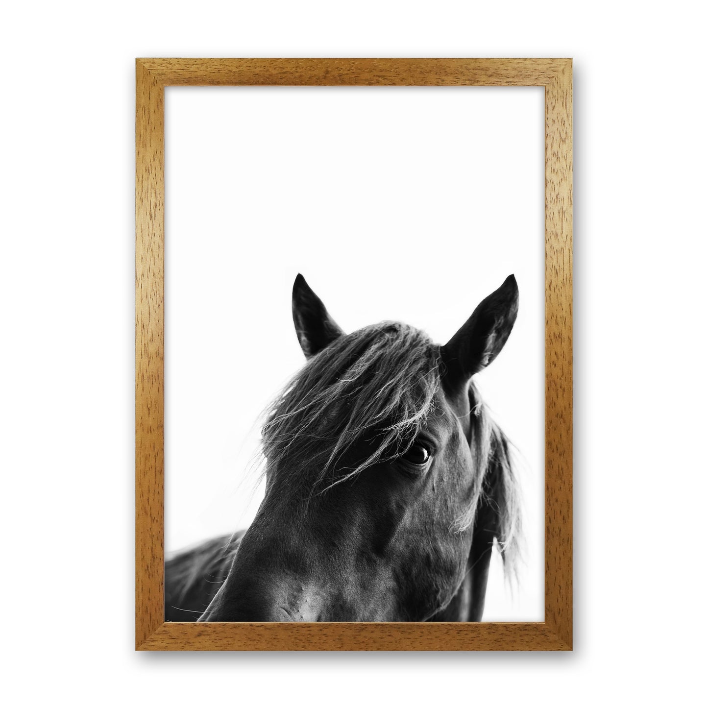 Black Beauty Photography Art Print by Kubistika Oak Grain