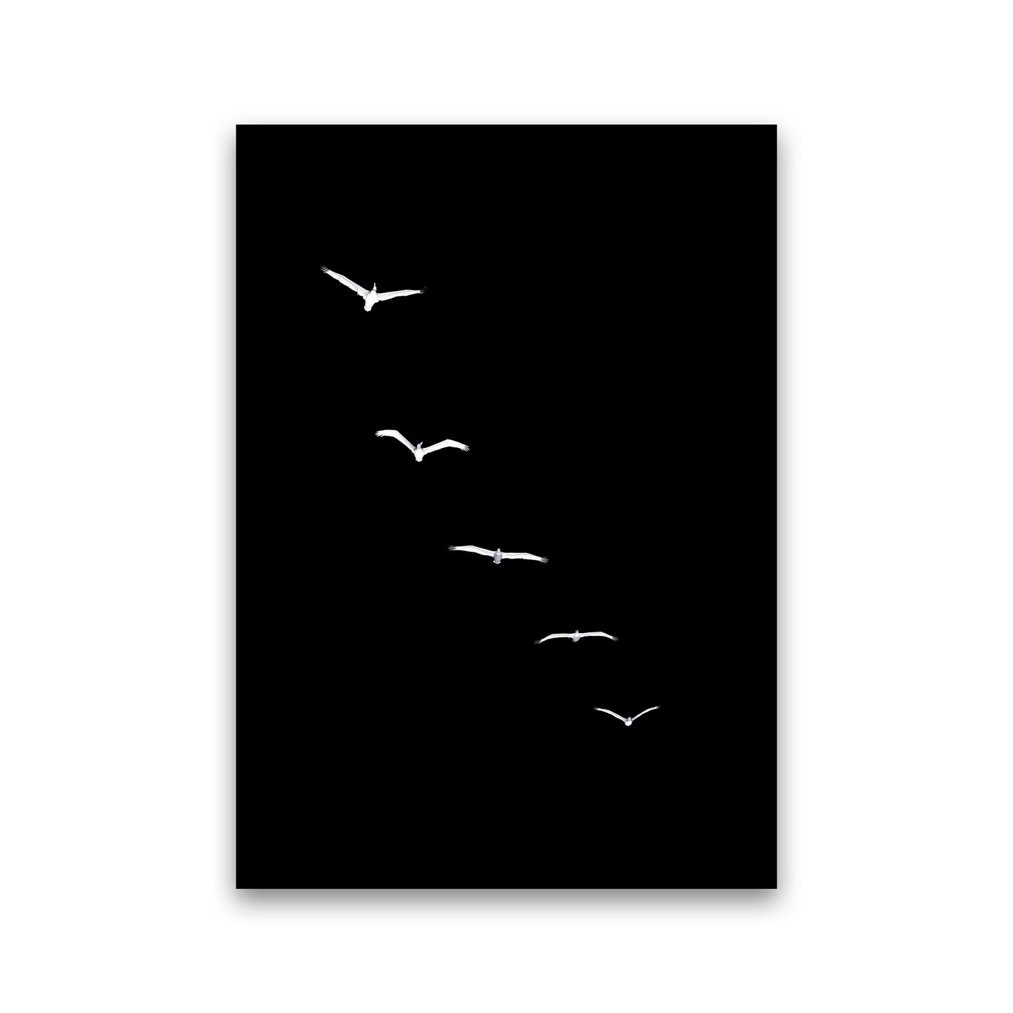 Heavenly Creatures - DARK Contemporary Art Print by Kubistika Print Only