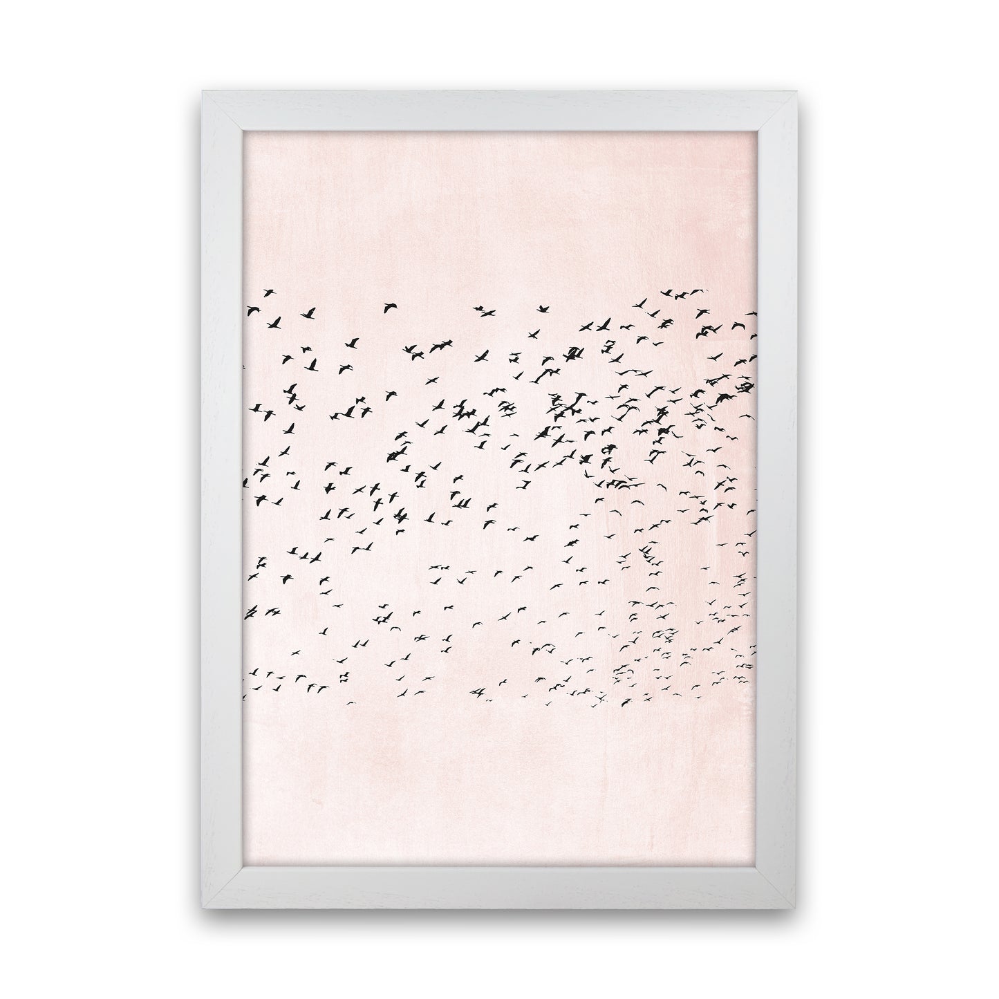 500 Seagulls Modern Contemporary Art Print by Kubistika White Grain