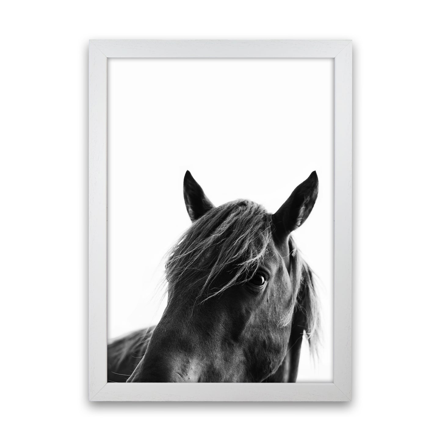 Black Beauty Photography Art Print by Kubistika White Grain
