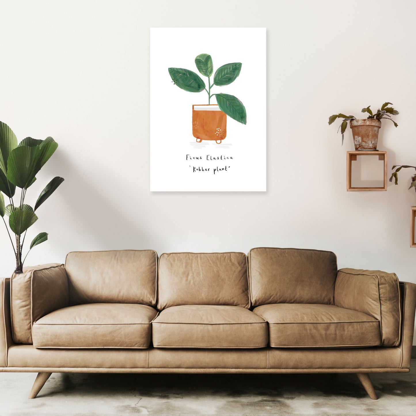 Rubber Plant Art Print by Laura Irwin A1 Black Frame