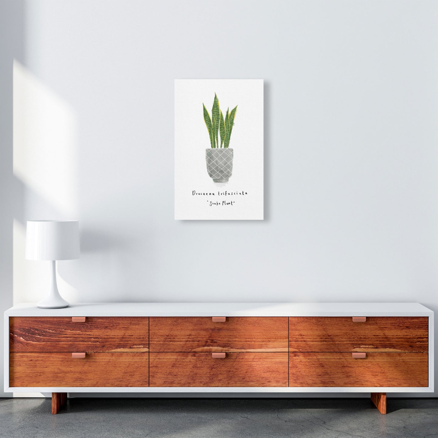 Snake Plant Art Print by Laura Irwin A3 Canvas