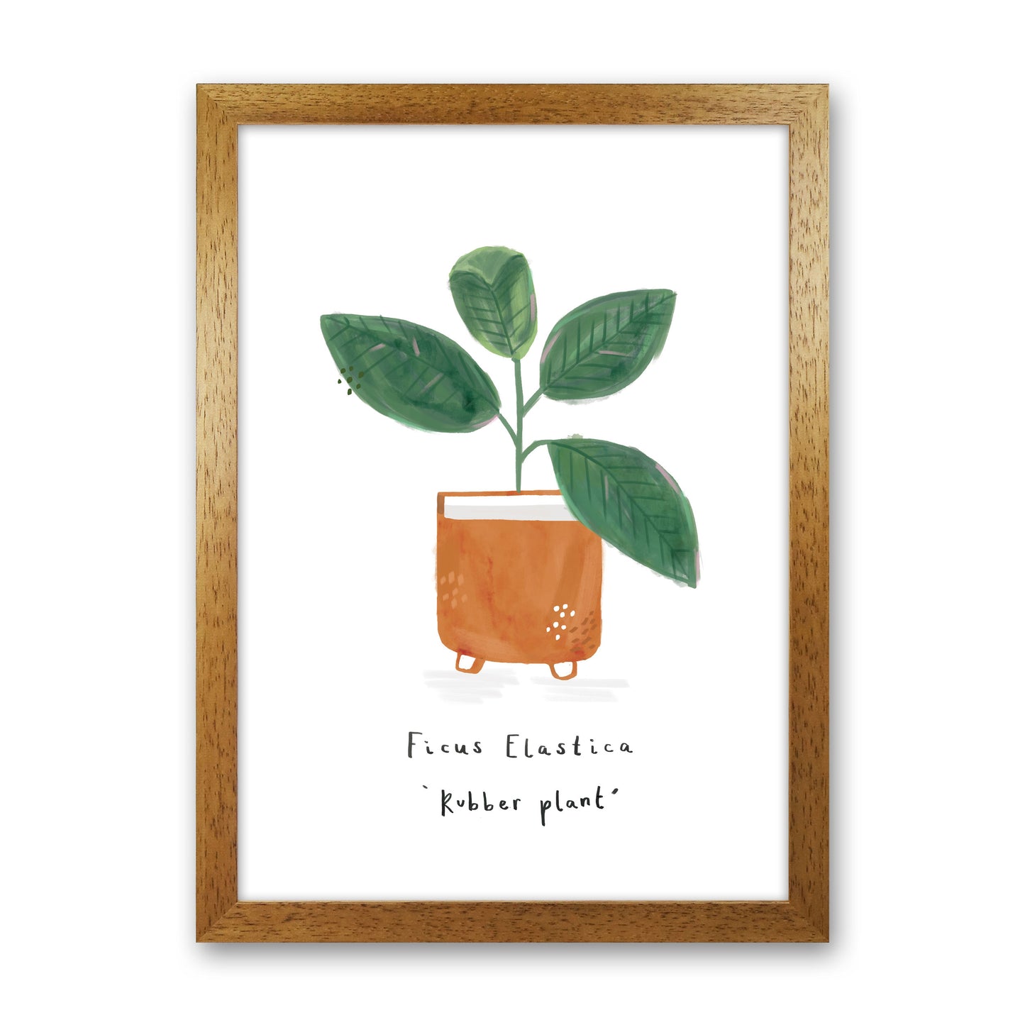 Rubber Plant Art Print by Laura Irwin Oak Grain