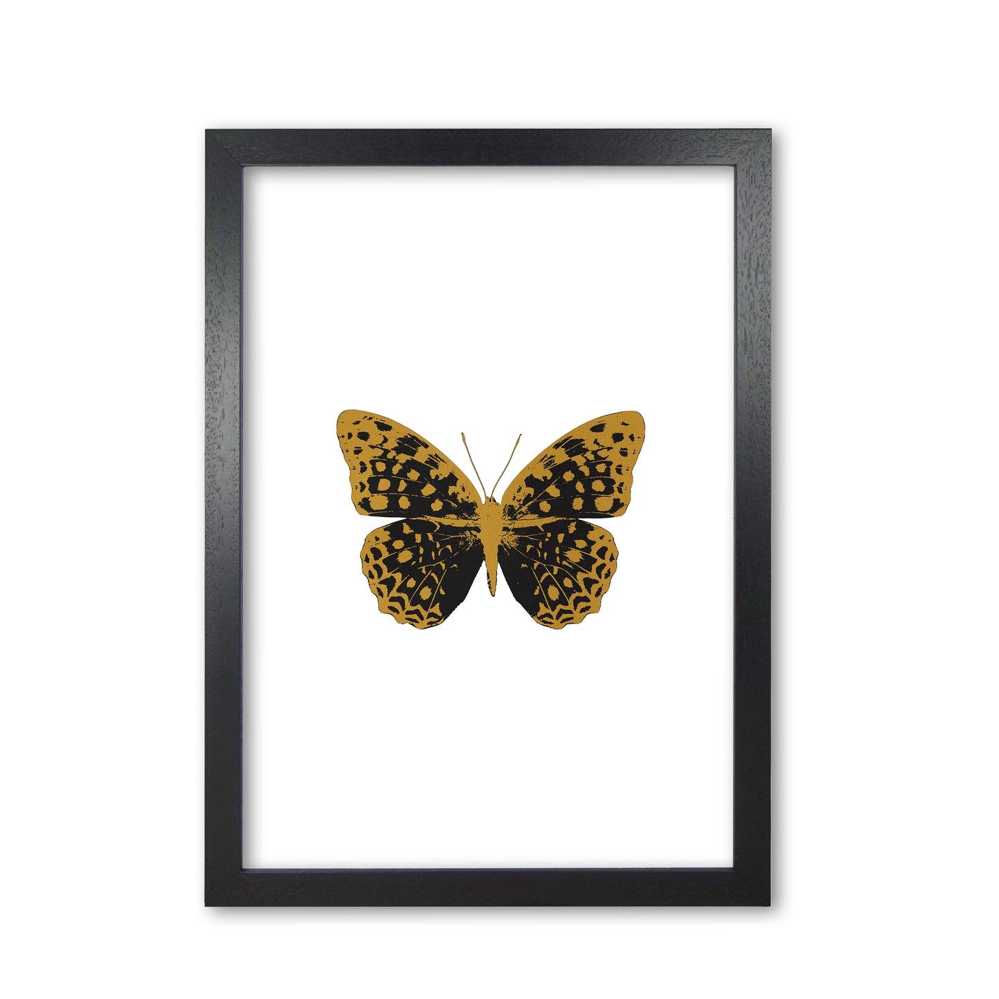 Black Butterfly Print By Orara Studio Animal Art Print Black Grain