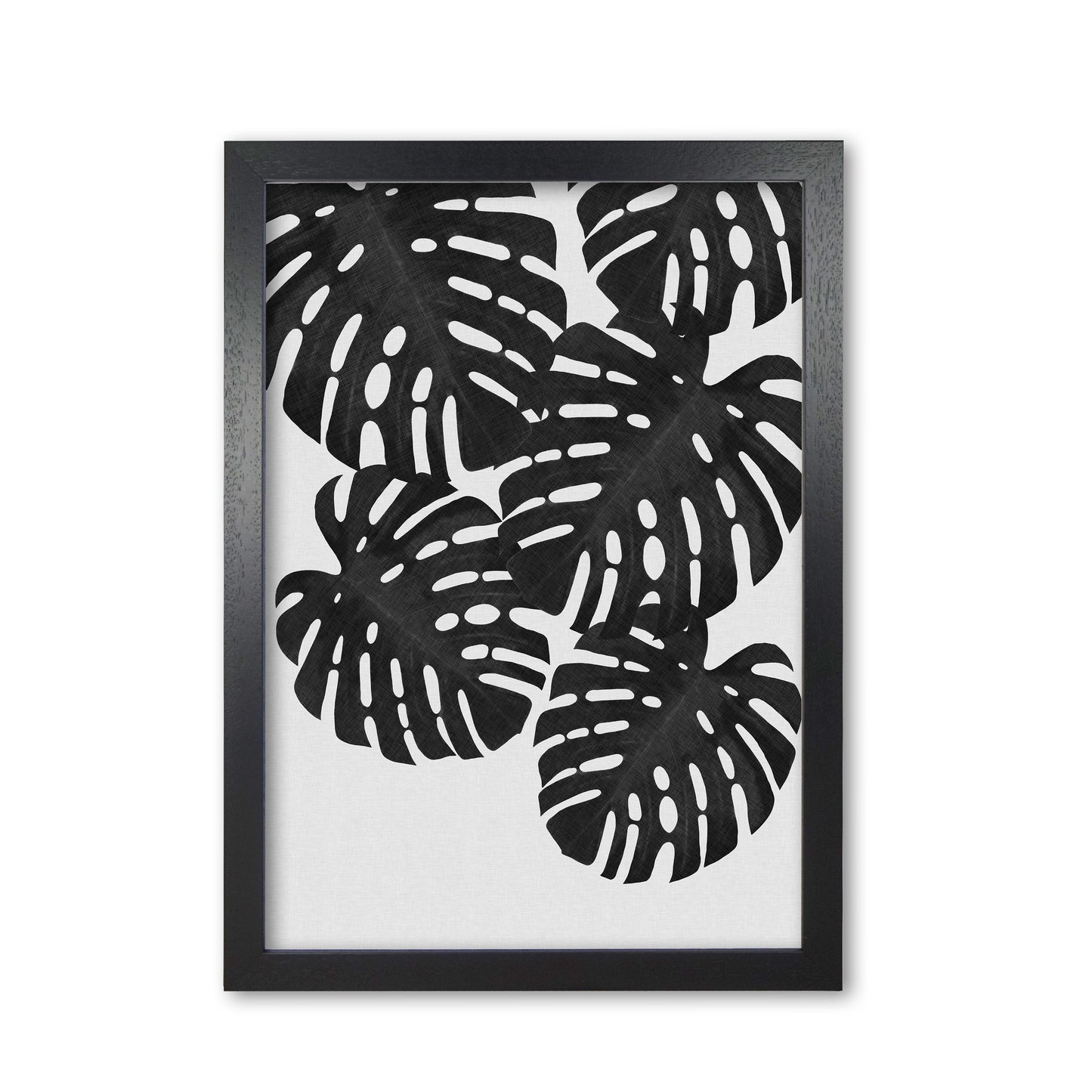 Monstera Black & White I Print By Orara Studio Black Grain