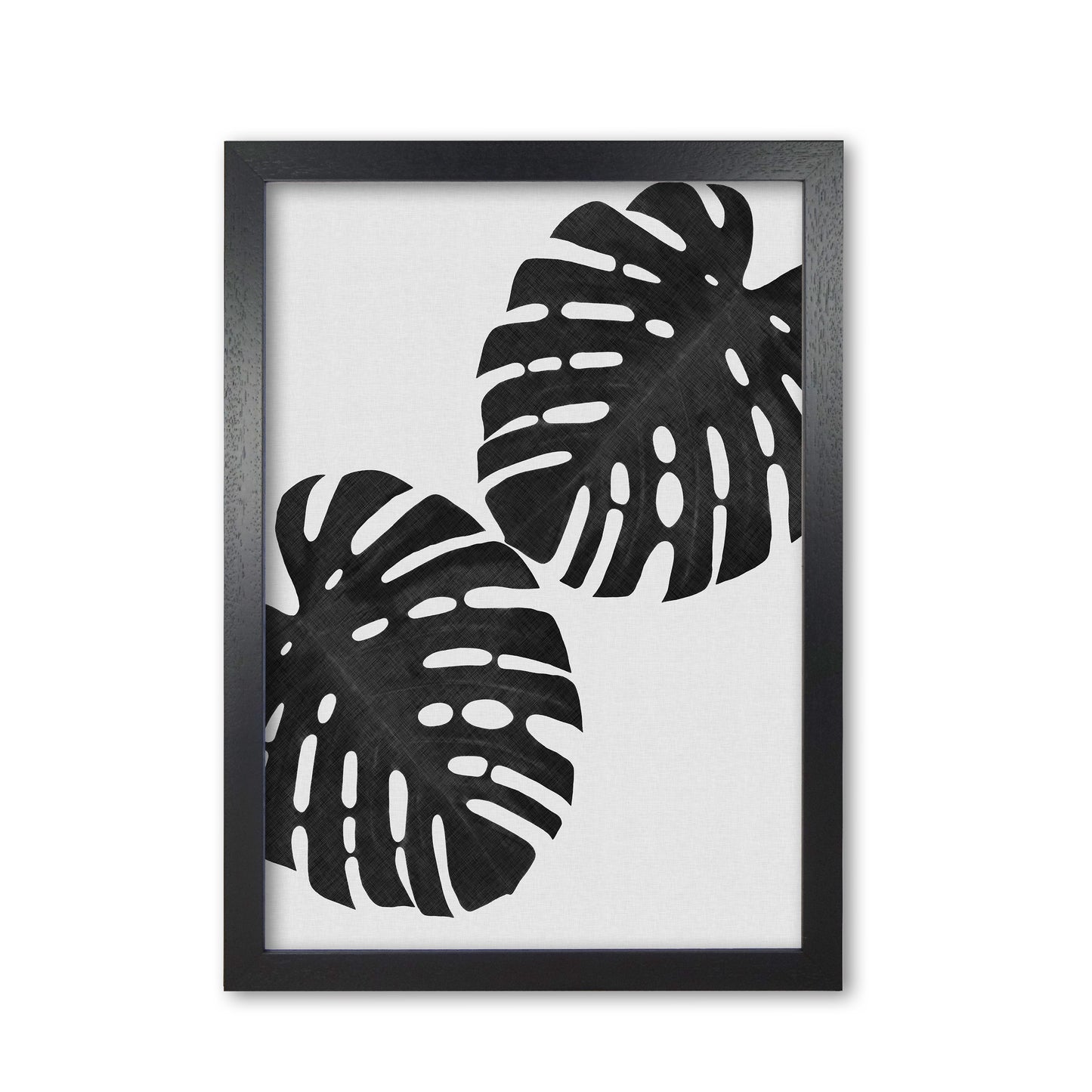 Monstera Black & White II Print By Orara Studio Black Grain