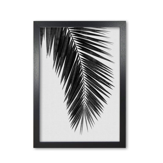 Palm Leaf Black & White I Print By Orara Studio Black Grain
