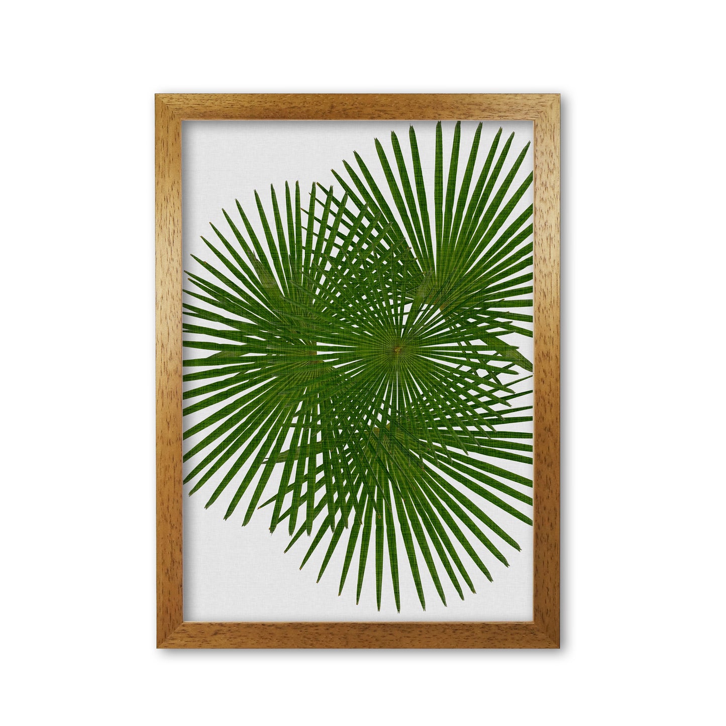 Fan Palm Print By Orara Studio, Framed Botanical & Nature Art Print Oak Grain